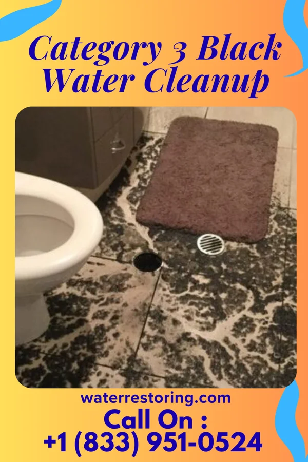 Category 3 Black Water Cleanup in Womelsdorf, PA