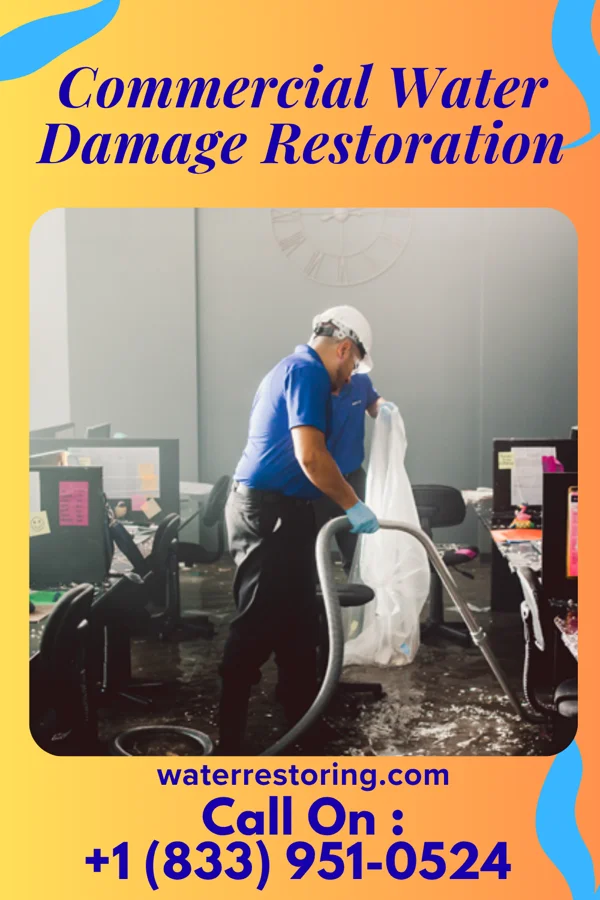 Commercial Water Damage Restoration in Womelsdorf, PA