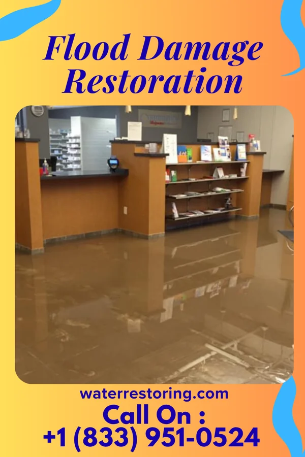 Flood Damage Restoration in Womelsdorf, PA