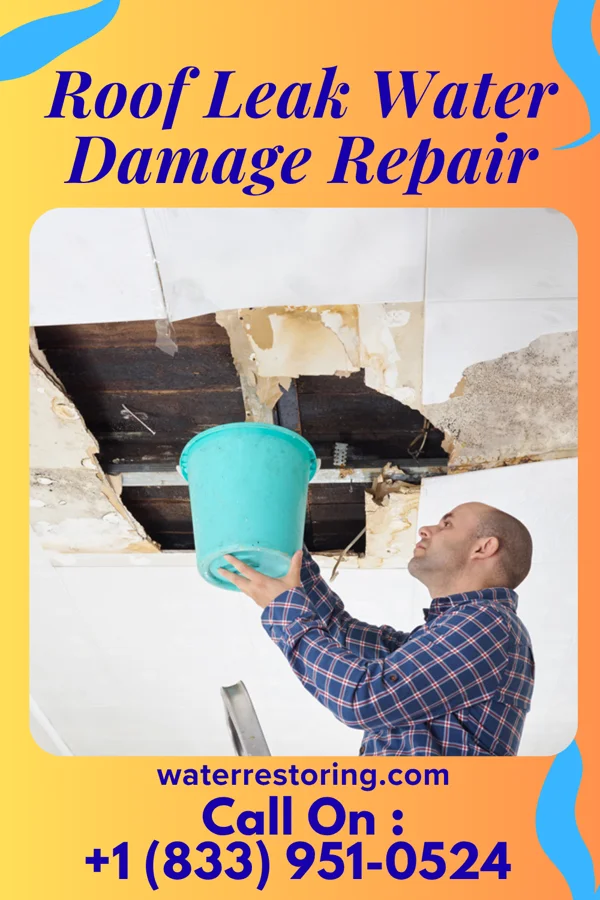 Roof Leak Water Damage Repair in Womelsdorf, PA