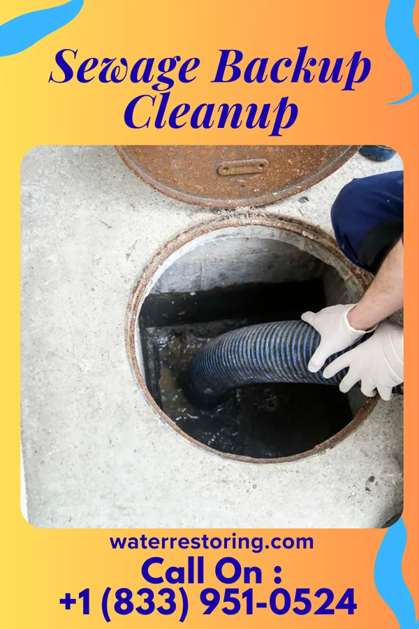 Sewage Backup Cleanup in Womelsdorf, PA