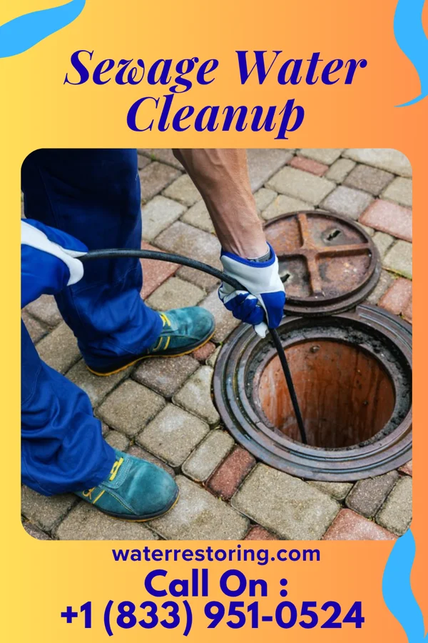 Sewage Water Cleanup in Womelsdorf, PA