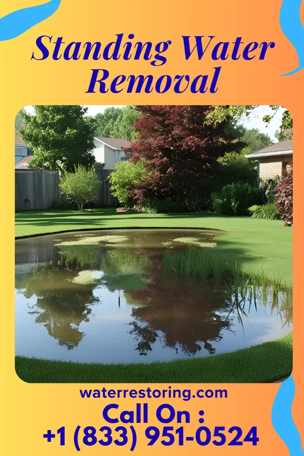 Standing Water Removal in Womelsdorf, PA